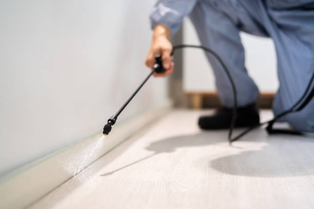 Licensed Fumigation Services service in Dublin, GA - Nex Pest Control