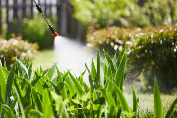 24/7 Emergency Fumigation Services experts in Dublin, GA